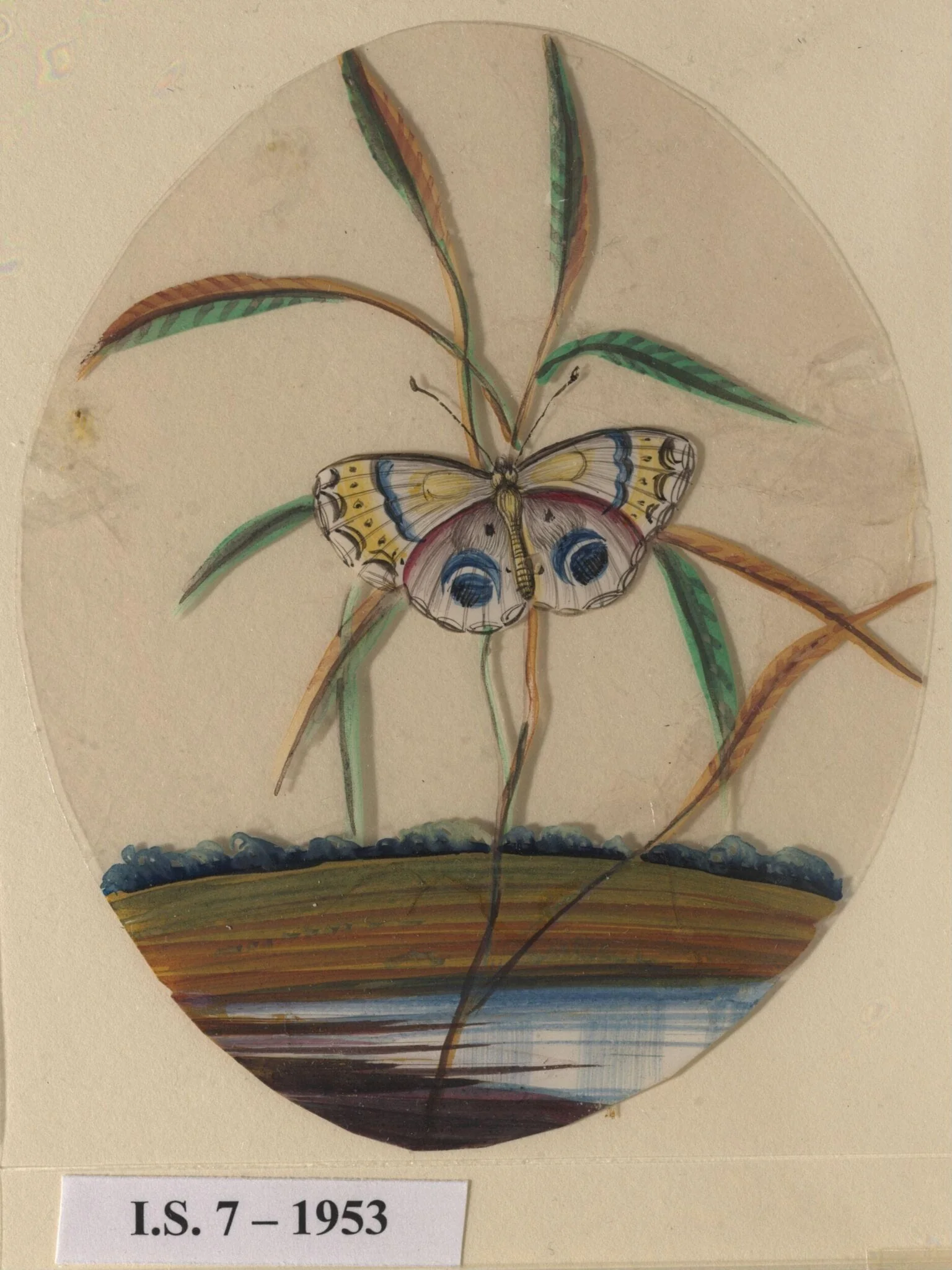 One of six unidentified butterflies on leafy sprays., by Unknown, paint, 1860