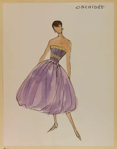 Orchidée