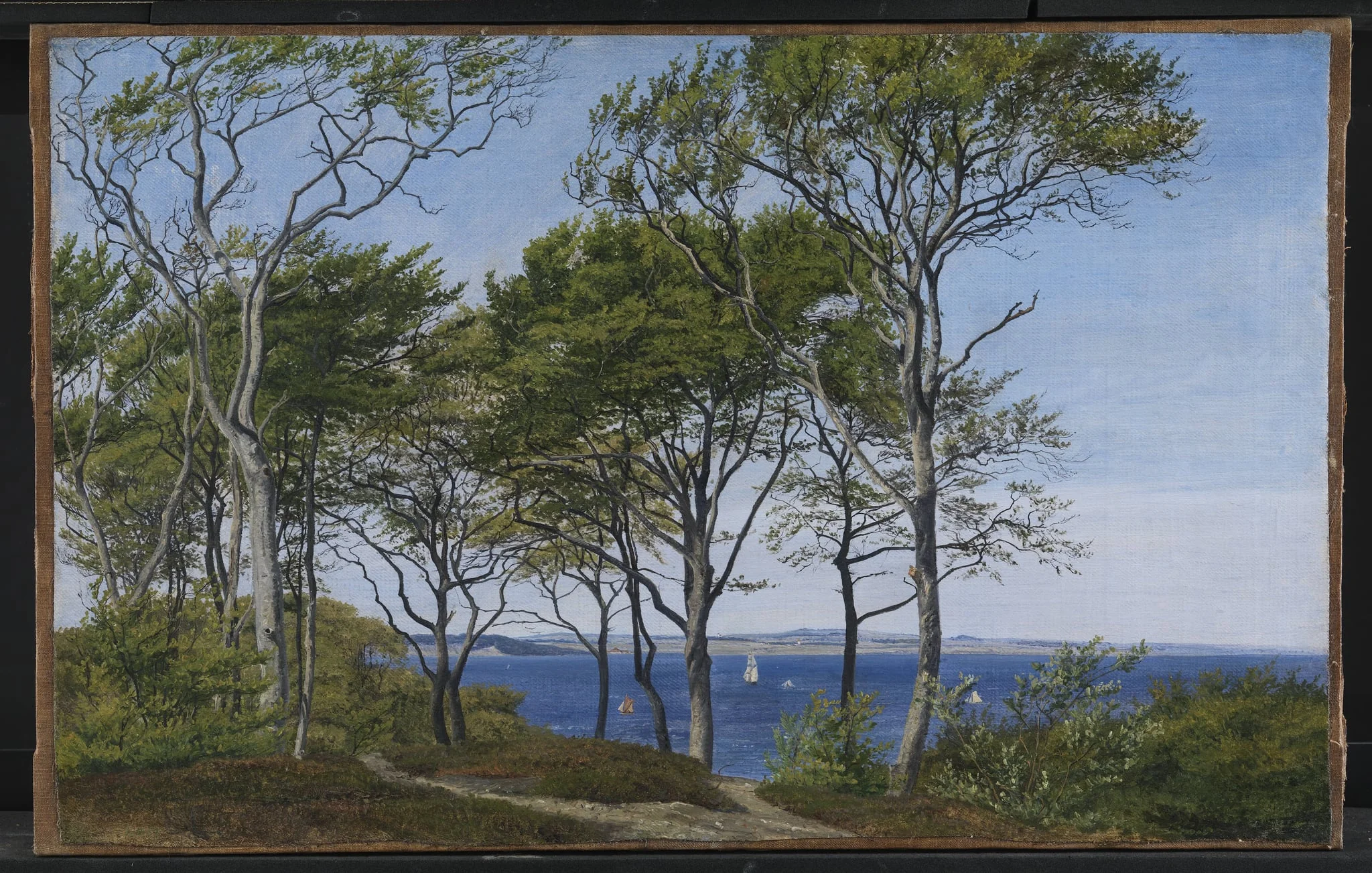 View Through Beech Trees Across a Fiord, by Unknown, 1854