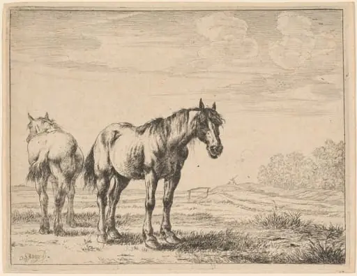 Two Plow Horses Standing in a Field