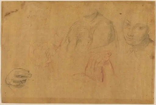 Sketches of Heads and Hands