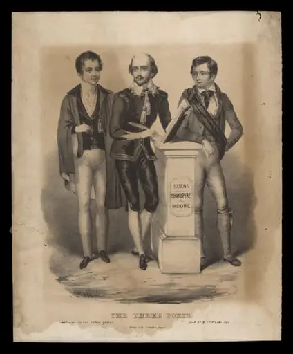 H Beard Print Collection