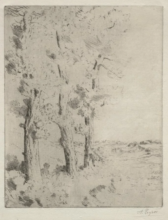 The Reader:  The Lecture under the Trees