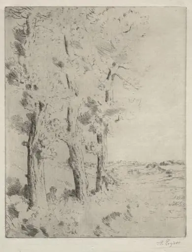 The Reader:  The Lecture under the Trees