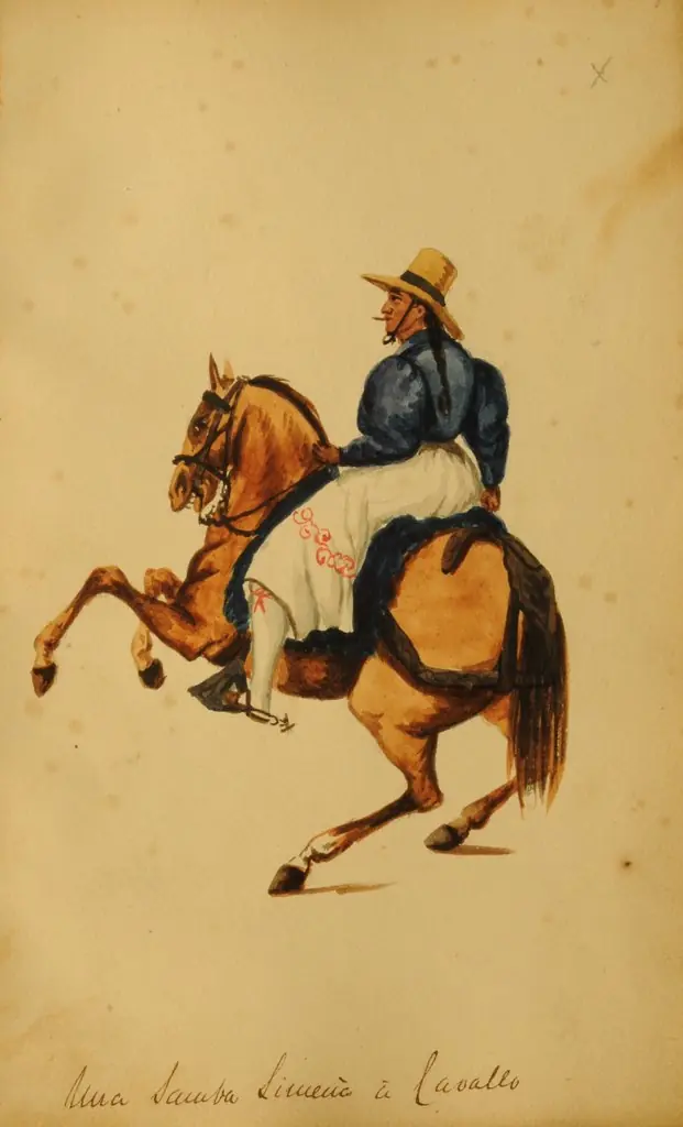 A Lima cowboy