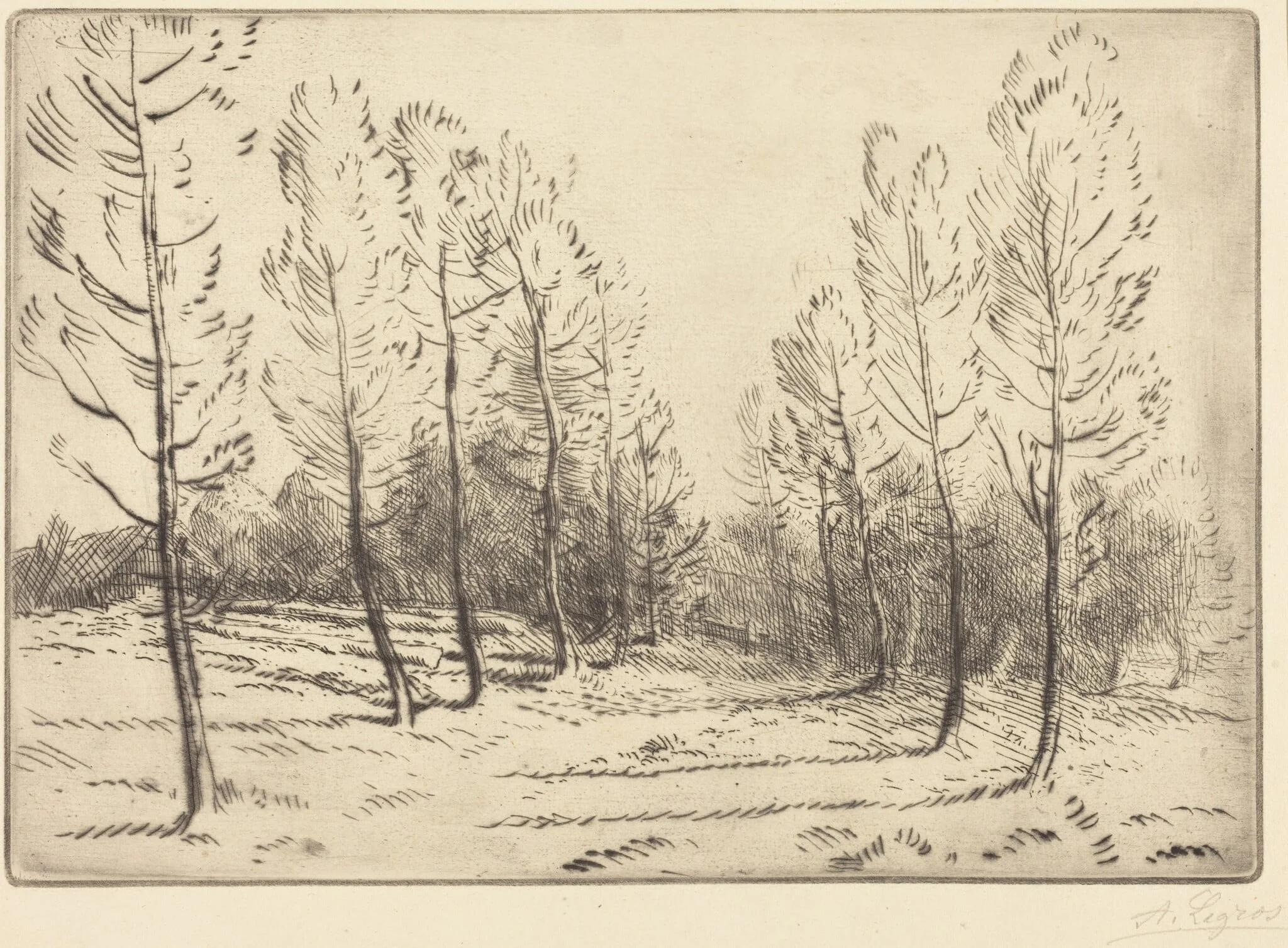 Avenue of Poplars (L'allee de peupliers), by Alphonse Legros, ink, 1874