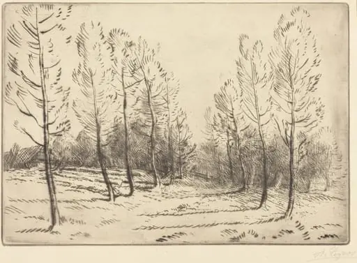 Avenue of Poplars (L'allee de peupliers)