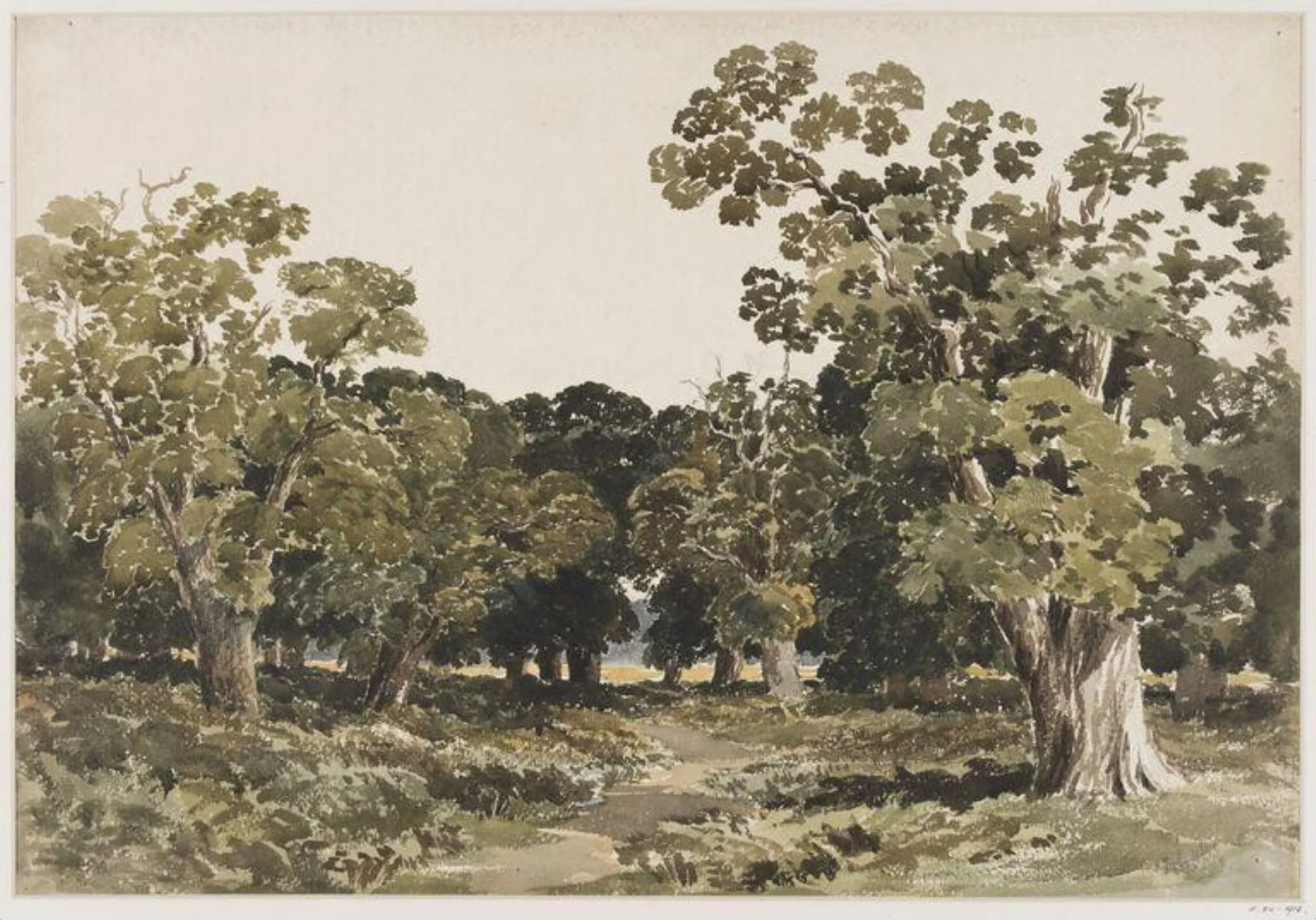 Richmond Park