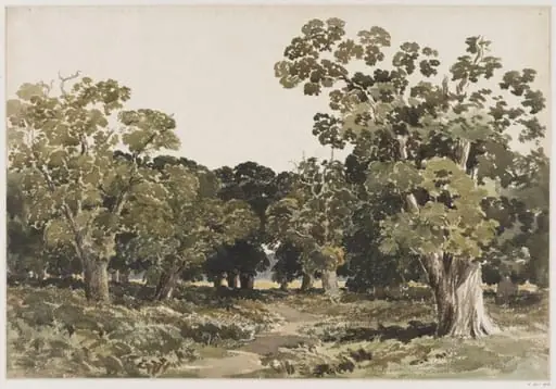 Richmond Park