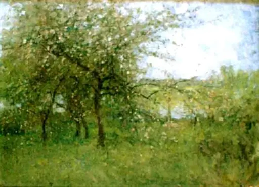 Peisaj