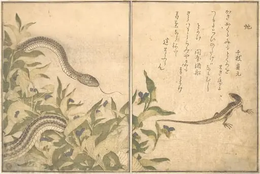 『画本虫撰』「虵」「とかけ」|Rat Snake (Hebi); Lizard or Skink (Tokage), from the Picture Book of Crawling Creatures (Ehon mushi erami)