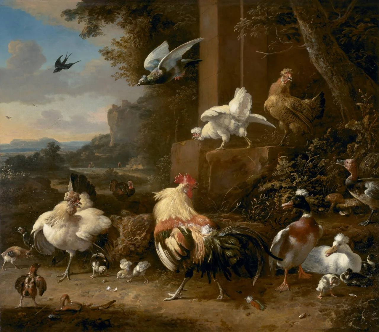 The poultry yard, by Melchior d' Hondecoeter, oil, 1696