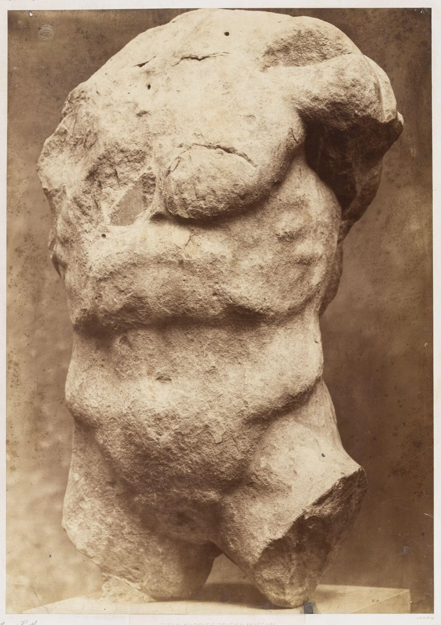 Torso of Cecrops