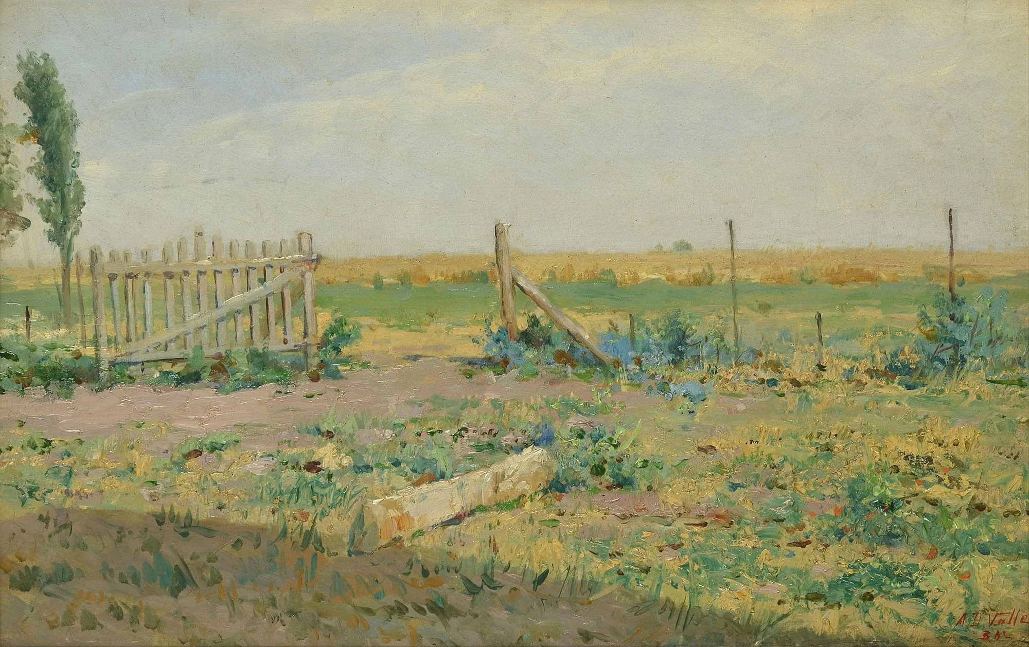 A pasture