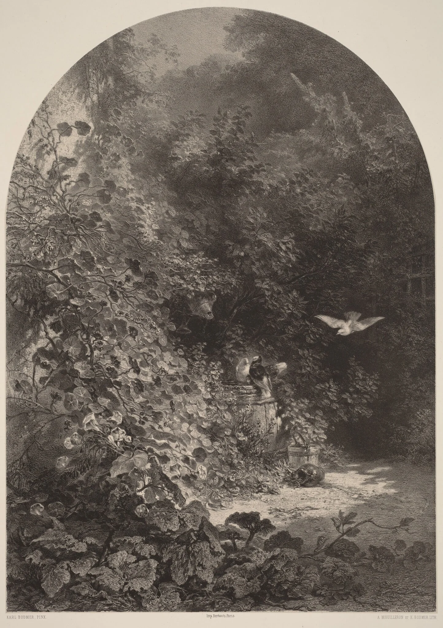 Un Coin de Jardin, by Karl Bodmer, ink, 1851