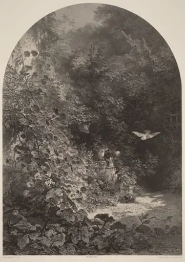Un Coin de Jardin