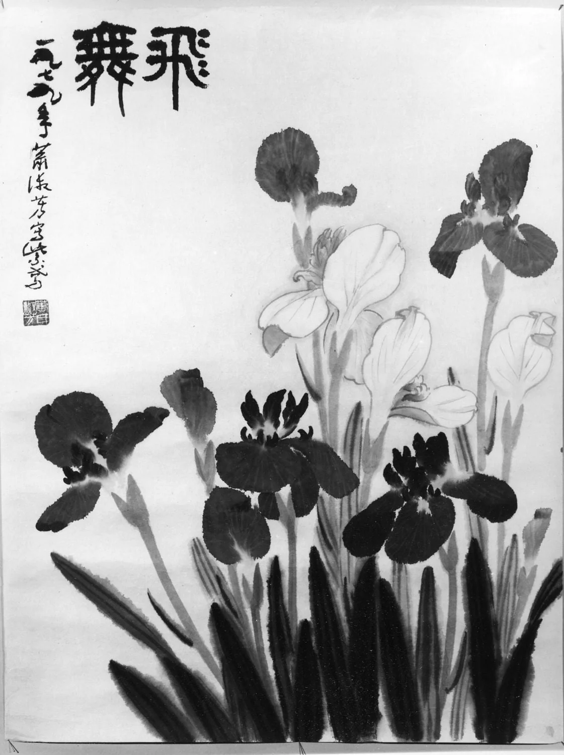 Iris, by Shufang Xiao, 1989