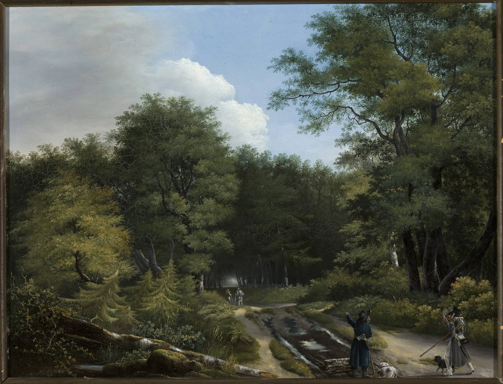Forest road