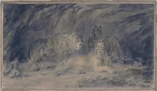 Lion and lionesses