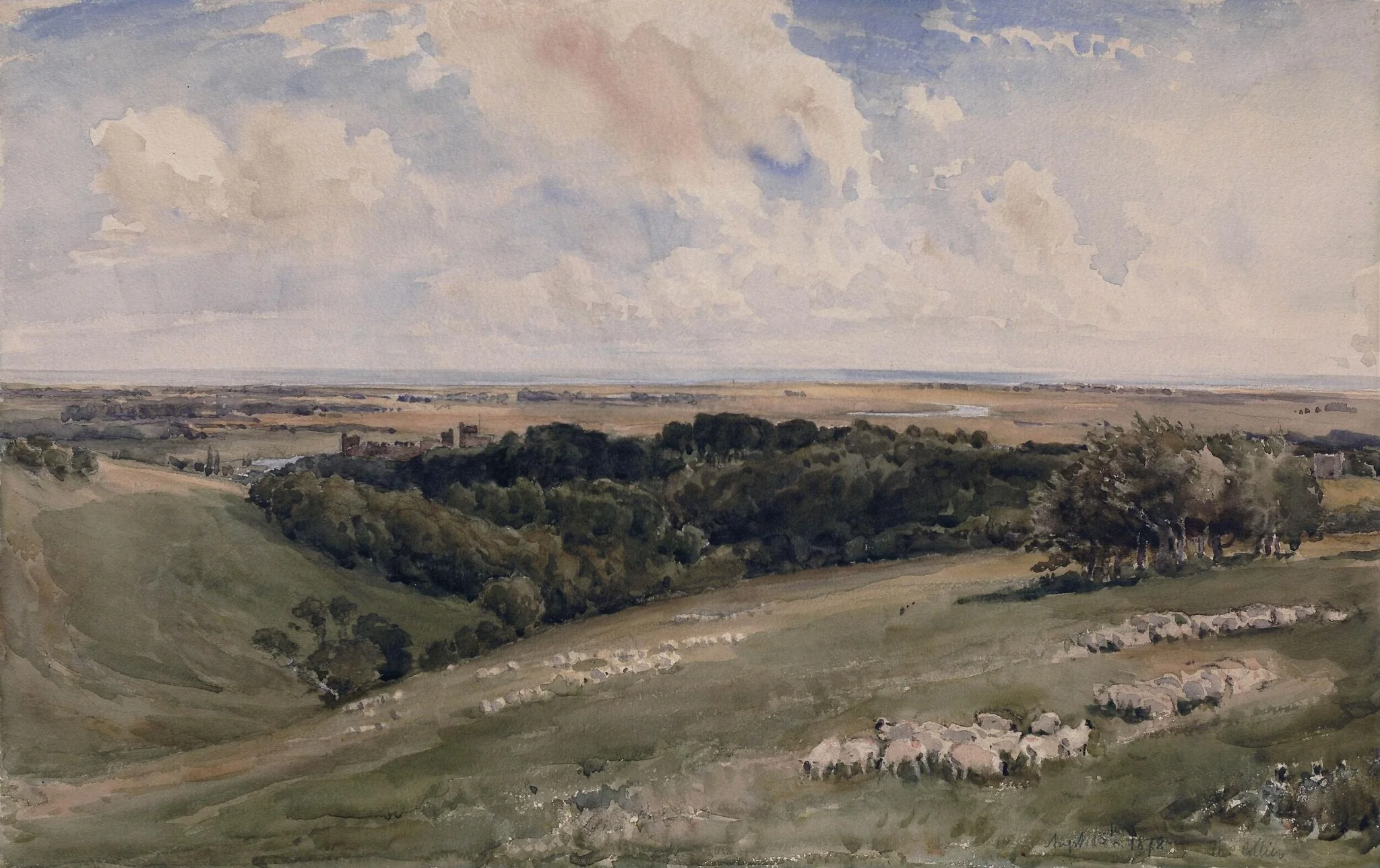 Arundel Park, Sussex