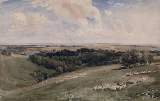 Arundel Park, Sussex