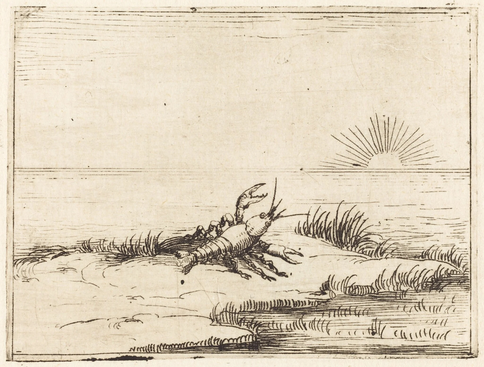Crayfish Looking at the Sun, by Jacques Callot, ink, 1628
