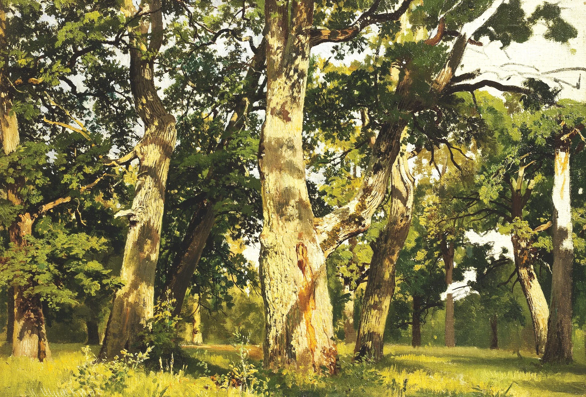 Oaks. Evening, by Ivan Shishkin, oil, 1894