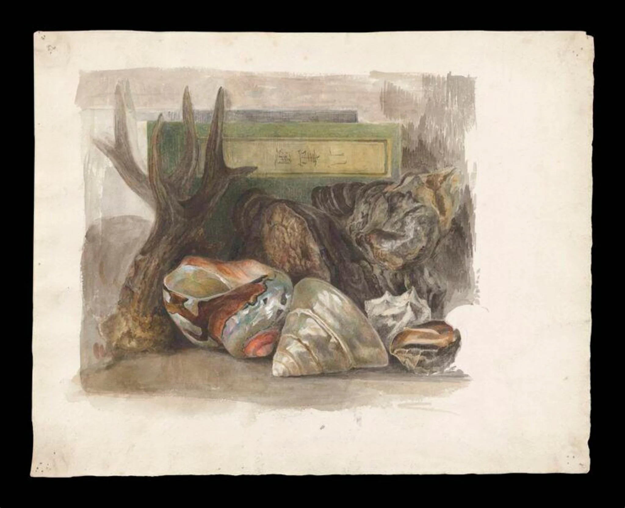 Still life study of sea shells, an antler and a Japanese drawing manual, by Beatrix Potter, watercolor, 1880