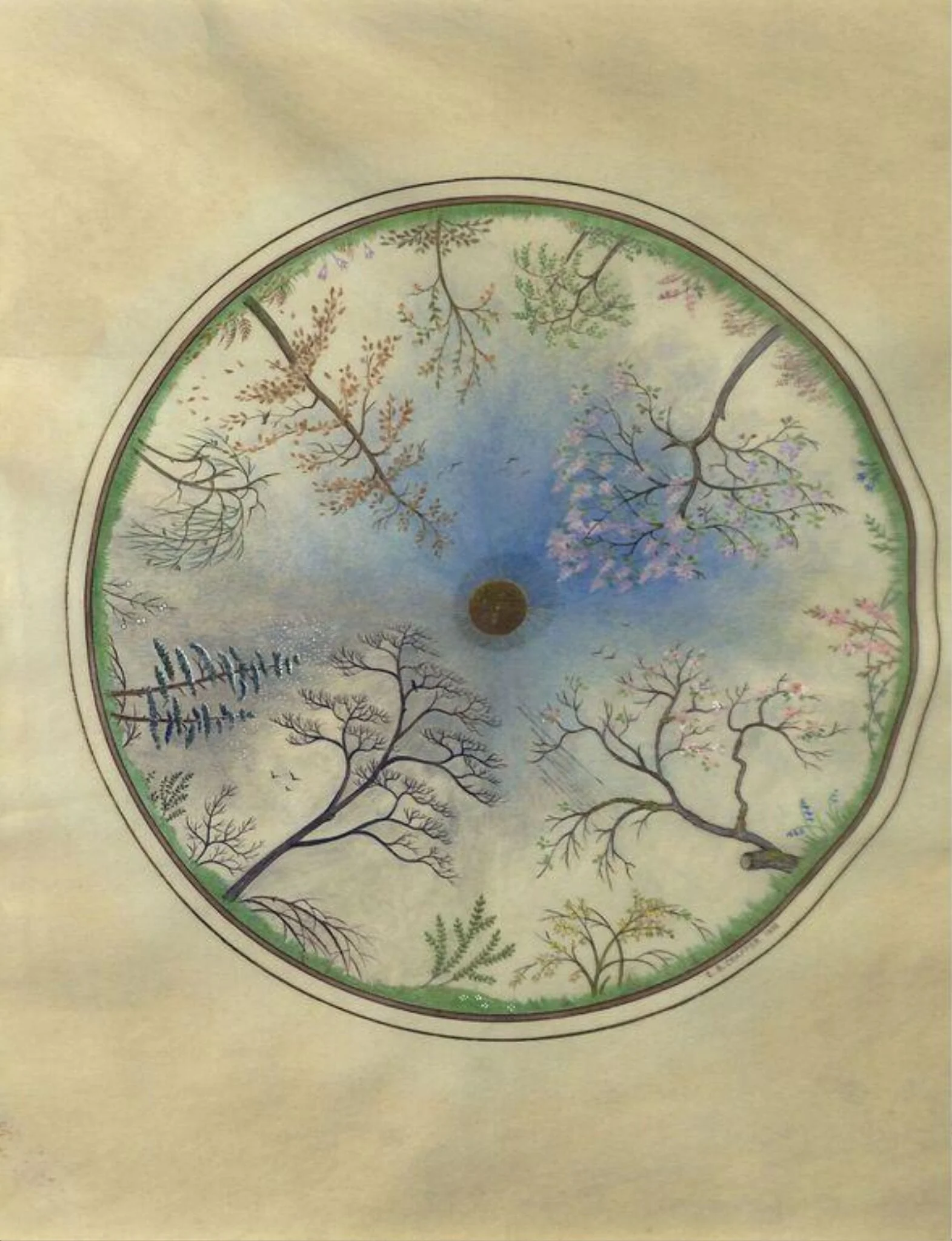 The Seasons