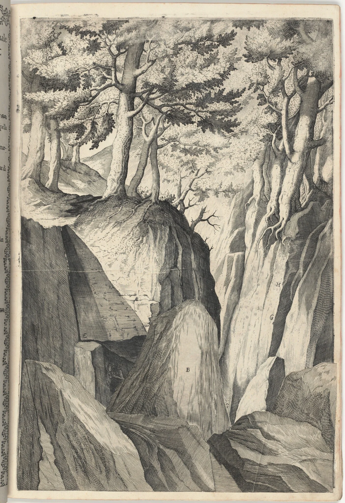 The Prominent Rock (Sasso spicco) [plate I], by Jacopo Ligozzi, ink, 1612