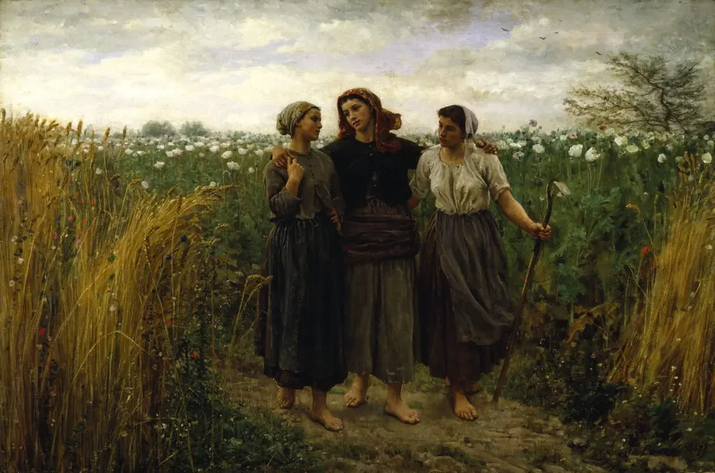 Returning from the Fields