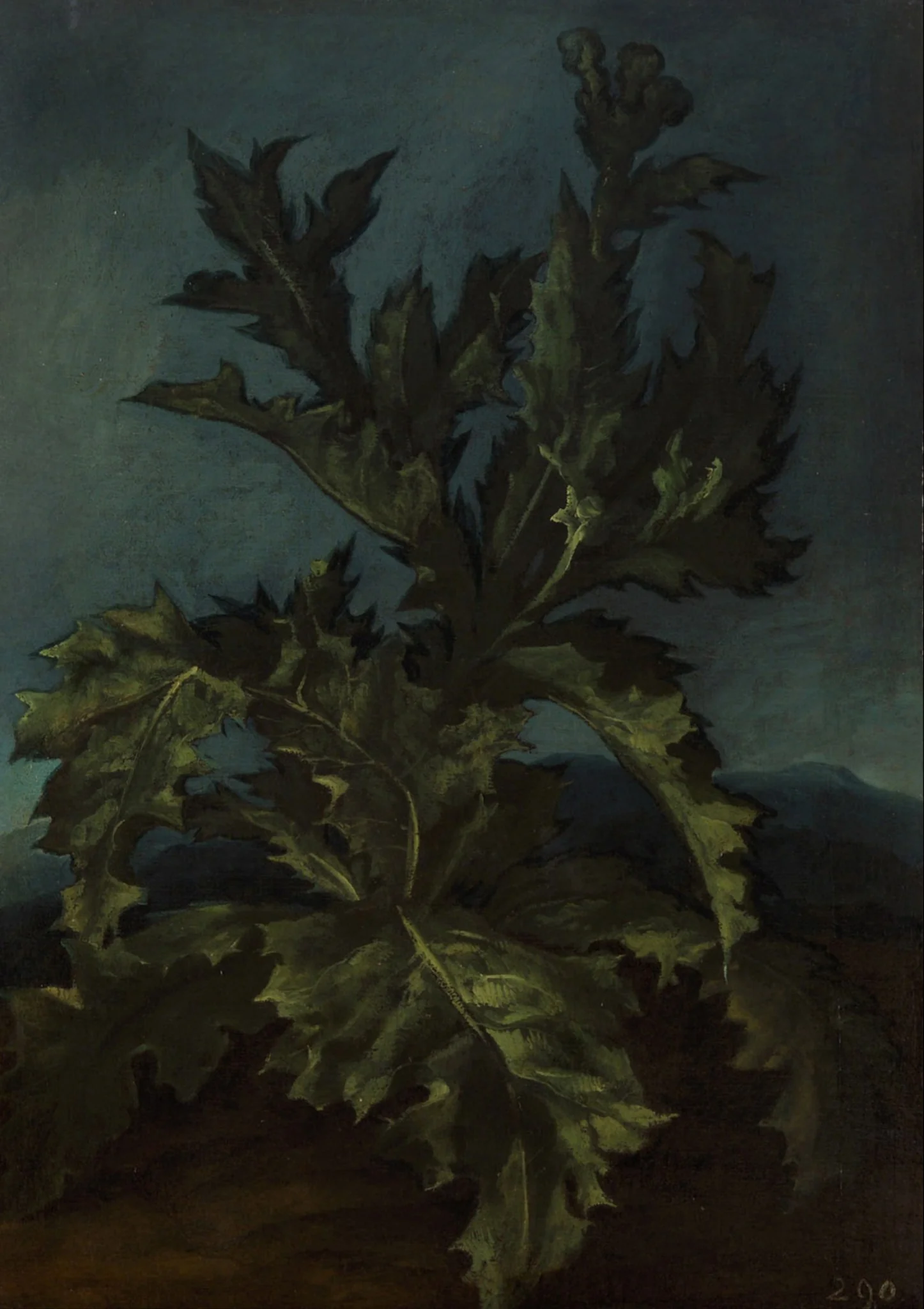 Thistle, by Carlo Dolci, unspecified, 1661