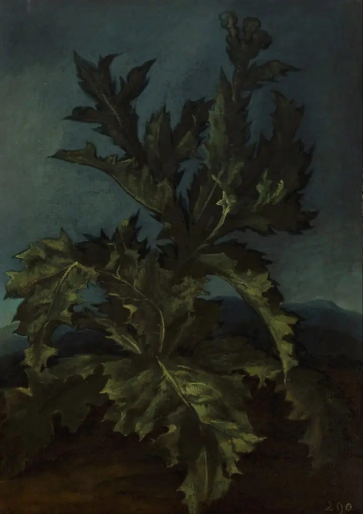 Thistle