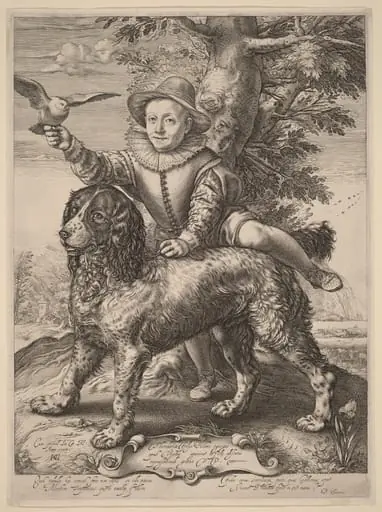 Frederik de Vries