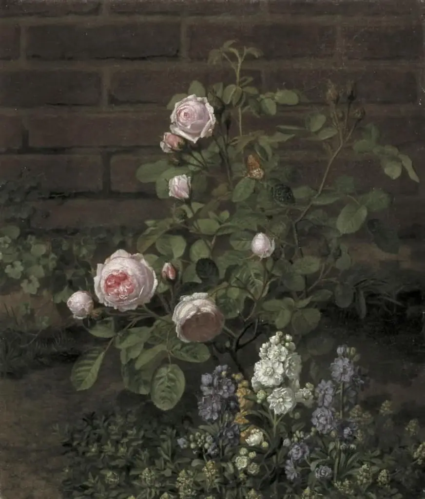 Et mosrosetræ omgivet af sommerblomster
