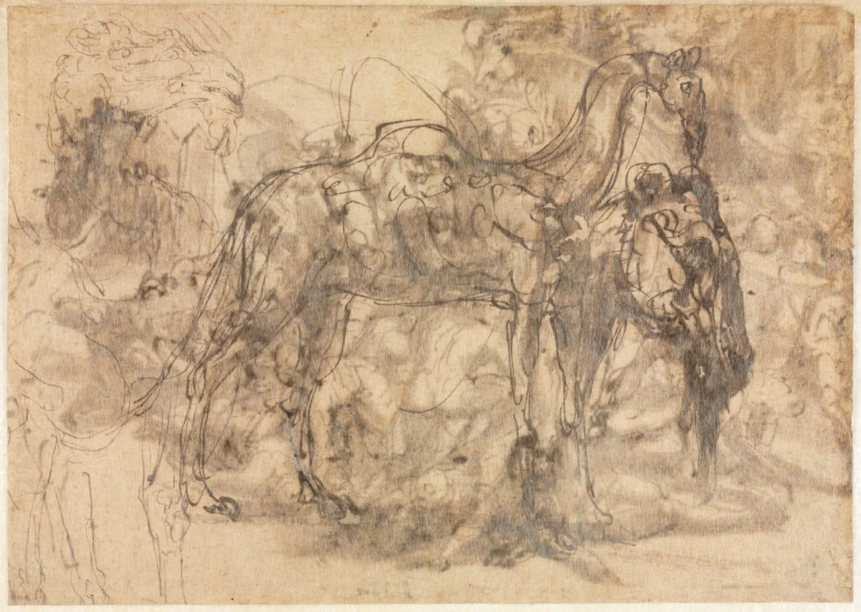 Sketches of Animals (verso), by Perino del Vaga, 1546