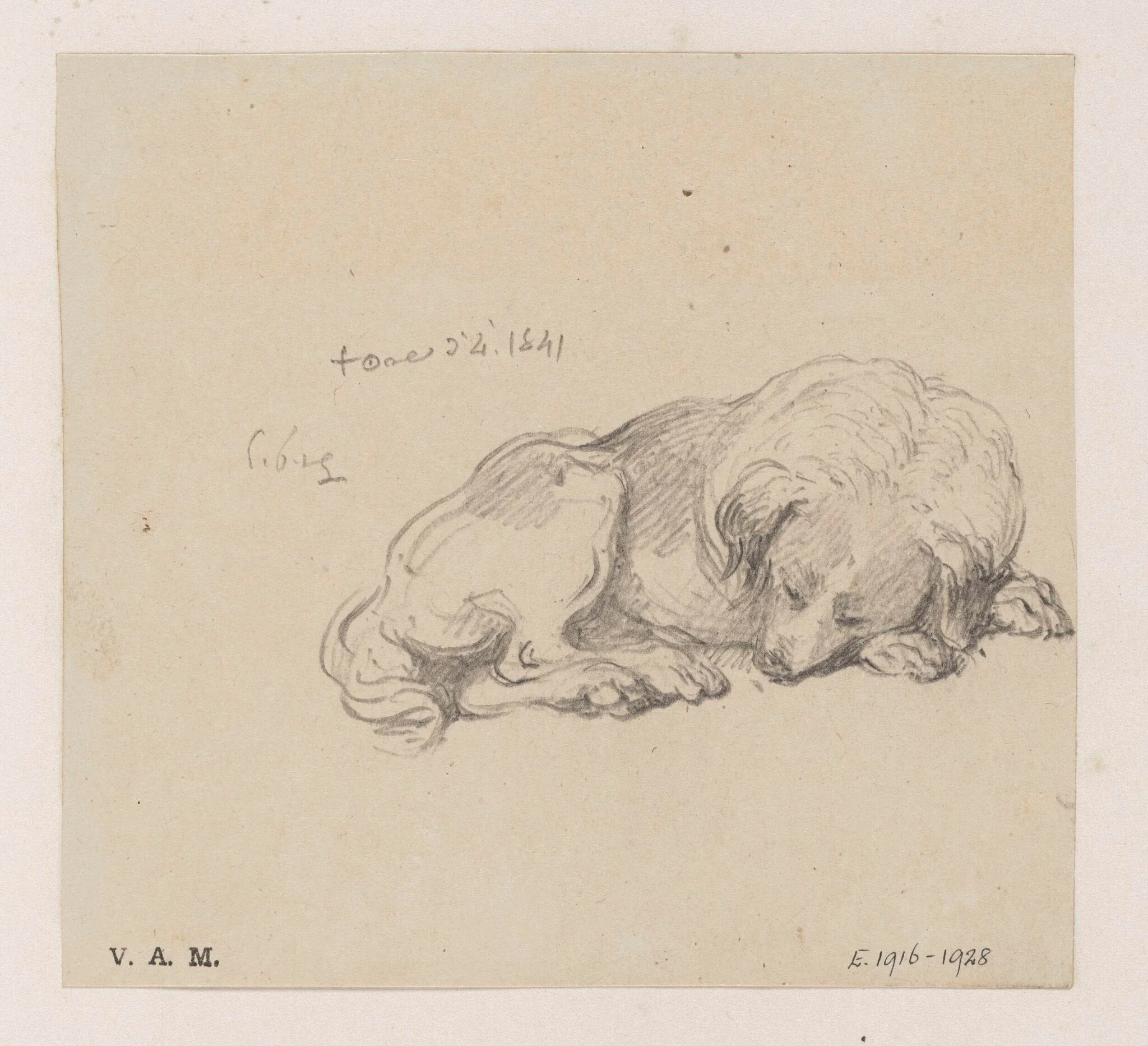 A sleeping dog, by George Chinnery, 4