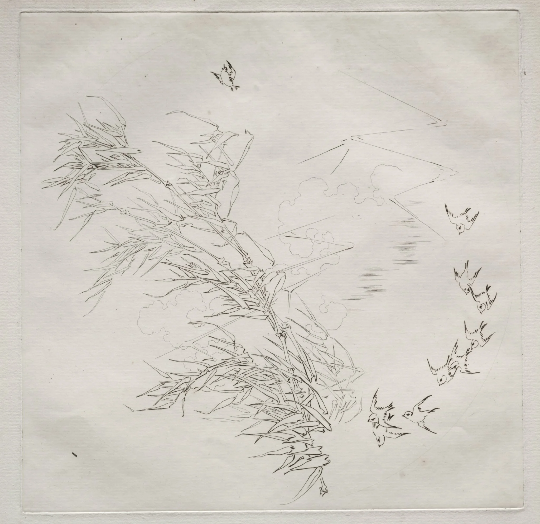 Parisian Service (Haviland service): The Storm (no. 8), by Félix Bracquemond, 1875