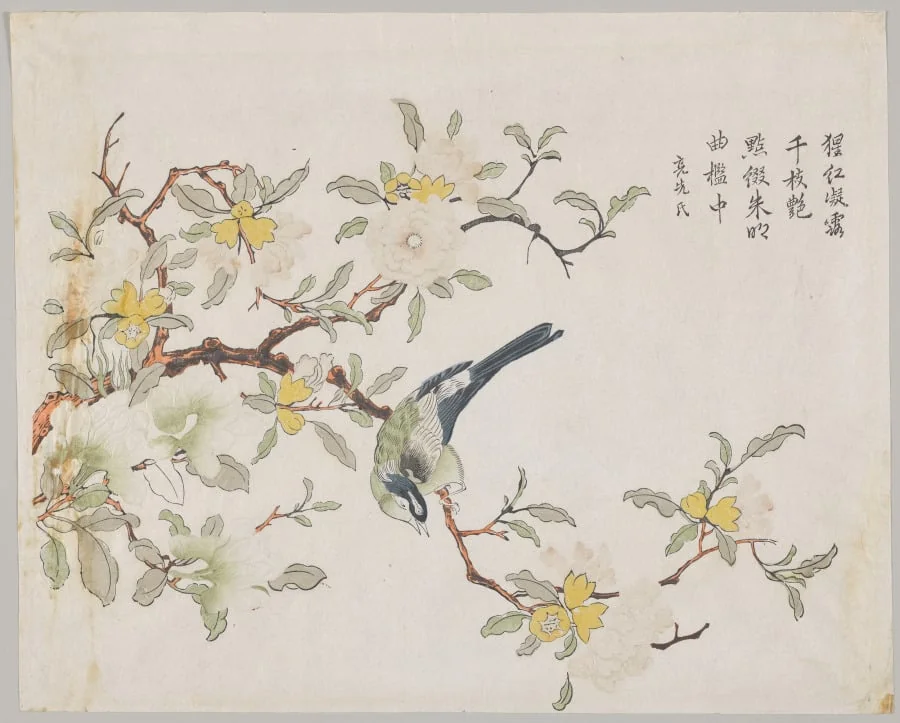 Bird on Pomegranate, by Unknown, 1704