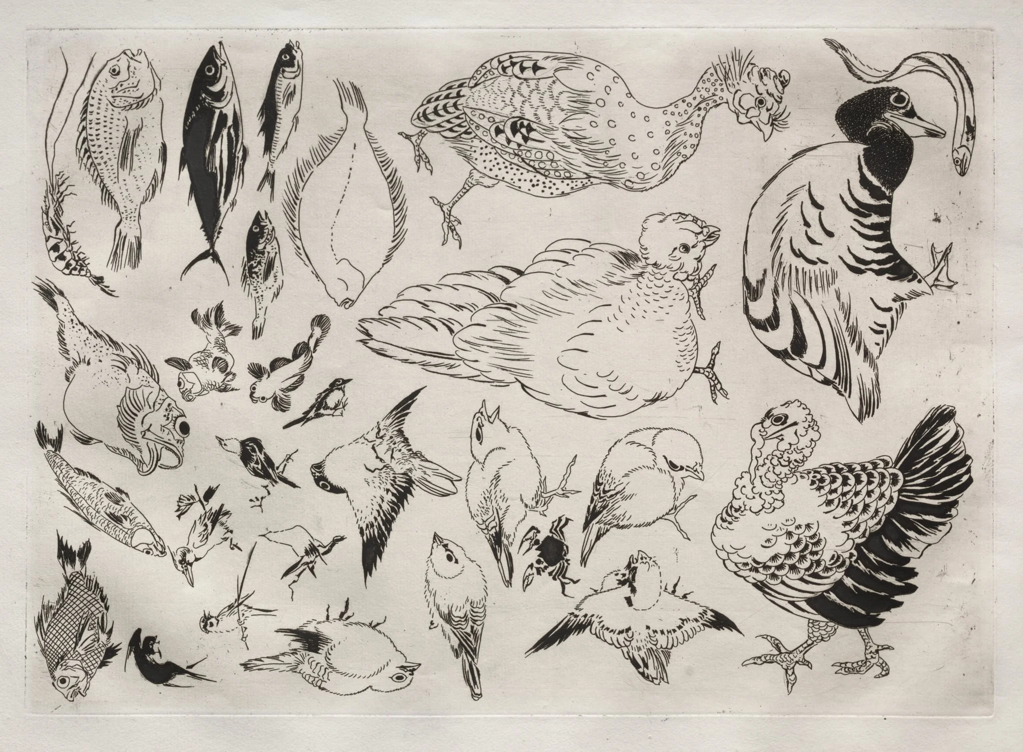 Dinner Service (Rousseau service): Ducks, fish, etc. (no. 12), by Félix Bracquemond, 1866