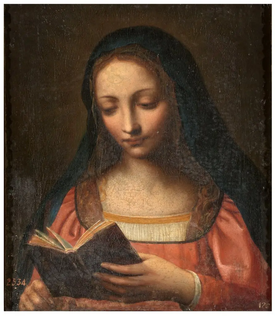 The Virgin Reading