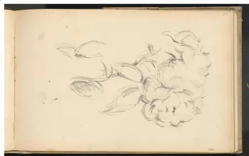 Peonies