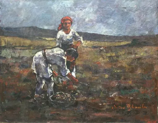 Țărani la scos cartofi