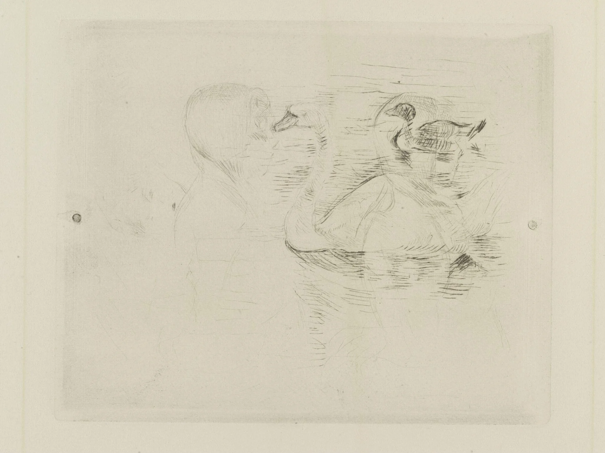 Swan and Duck, by Berthe Morisot, 1889
