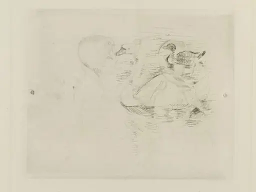 Swan and Duck
