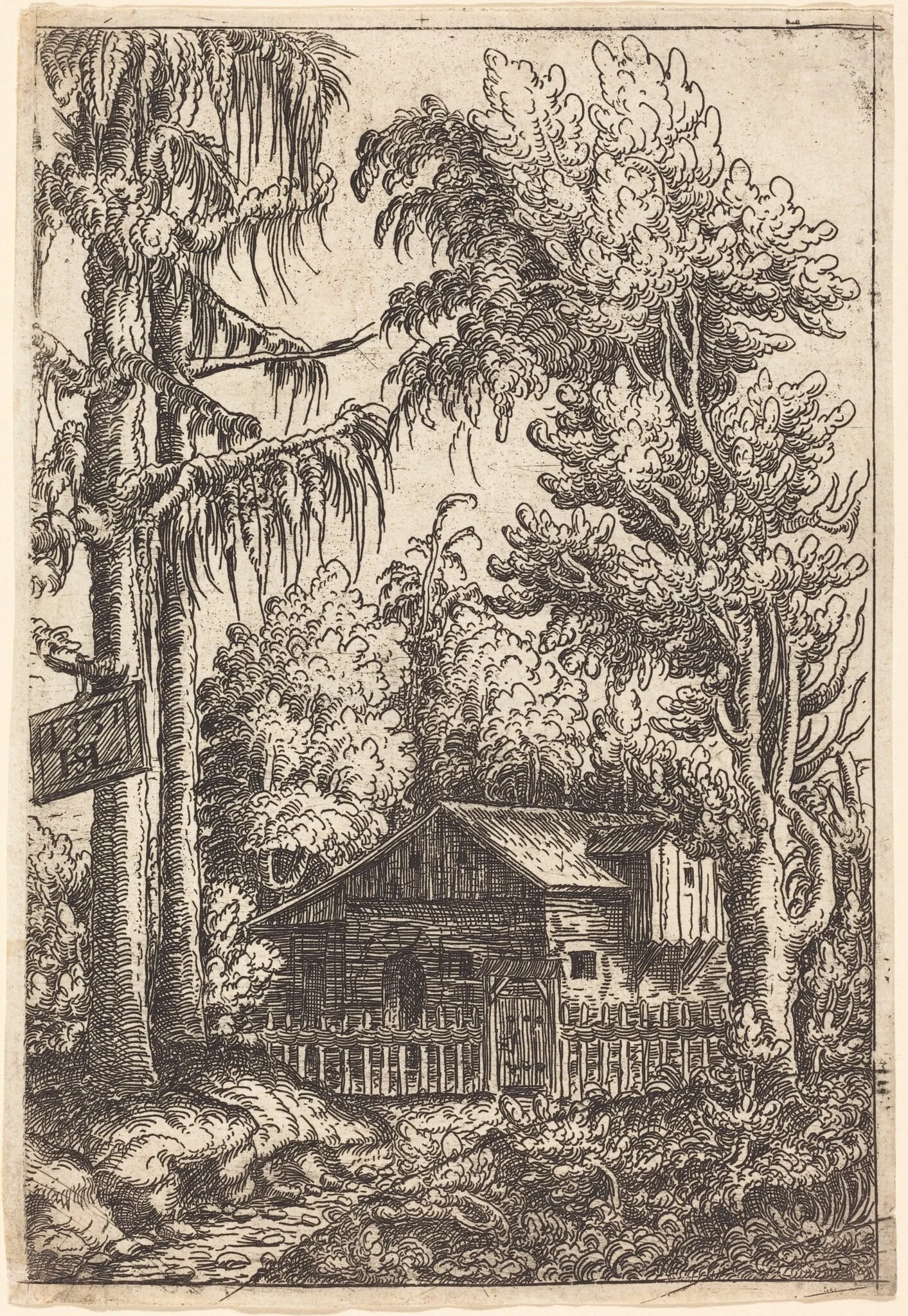 Landscape with View of a Farmer's Cottage, by Hanns Lautensack, ink, 1551