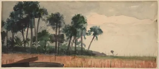Palm Trees, Red