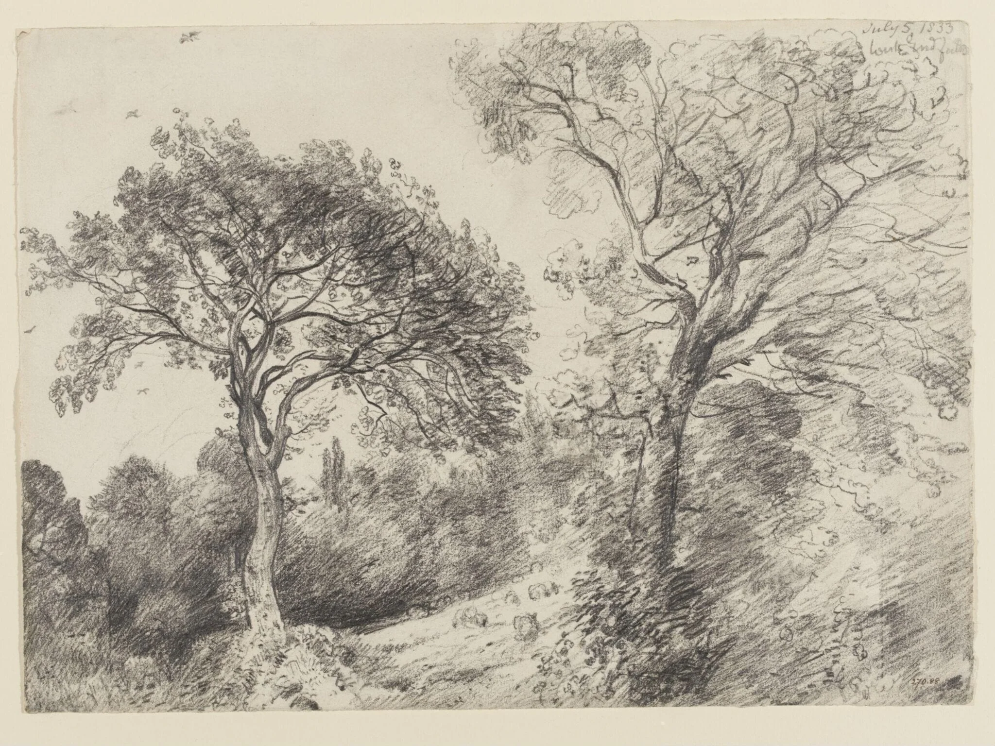 Trees in West End Fields, Hampstead, by John Constable, 5