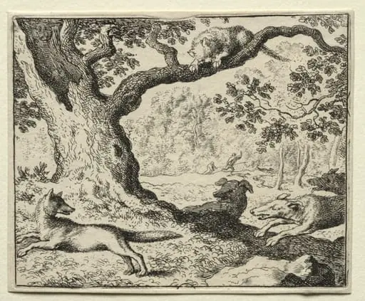 Reynard the Fox:  The Disloyal Cat