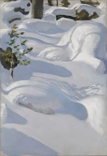 Päivänpaisteisia hankia